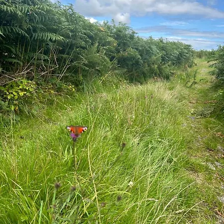 Casa de Férias Ocean View House -connemarra *