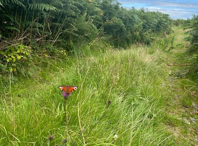 Prázdninový dům Ocean View House -connemarra *
